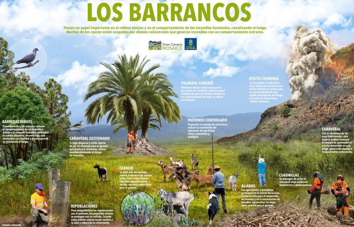 Infografía de los barrancos.