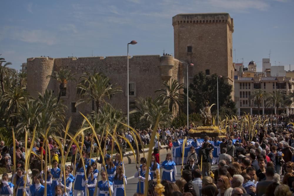 Domingo de Ramos en Elche