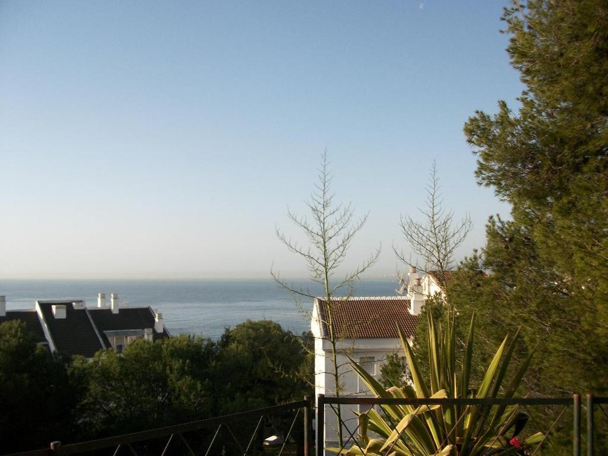 El parque forestal de Málaga El Morlaco, un enclave natural repleto de ardillas, erizos y camaleones con miradores al mar