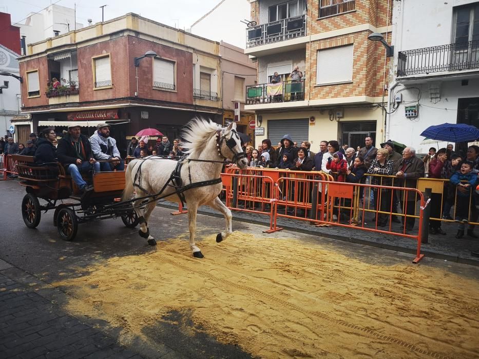 Bendición de animales en Xirivella.