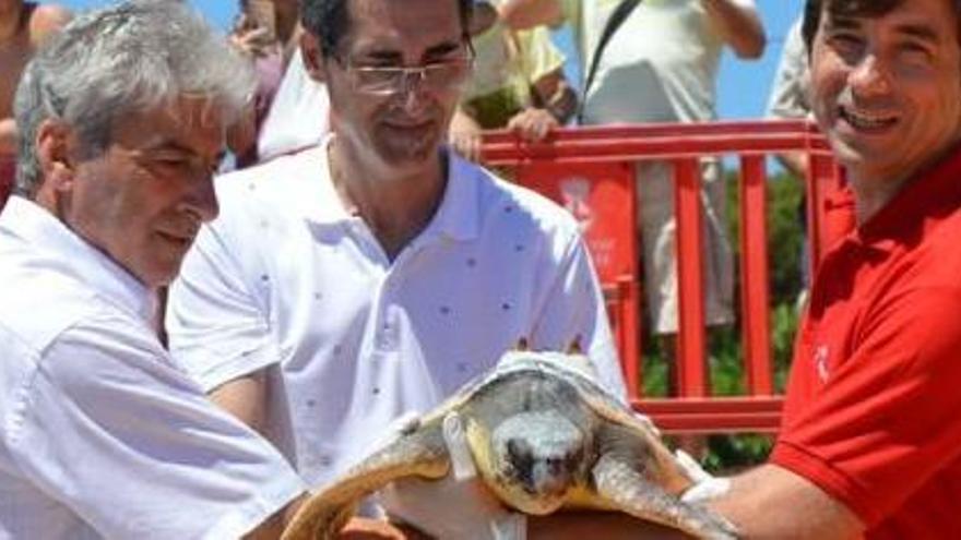 Alliberen a Blanes una tortuga marina rescatada fa un any i mig