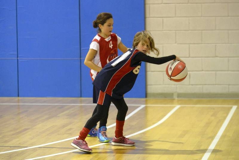 DÍA DEL MINIBASKET. Partidos de las 10:30 horas