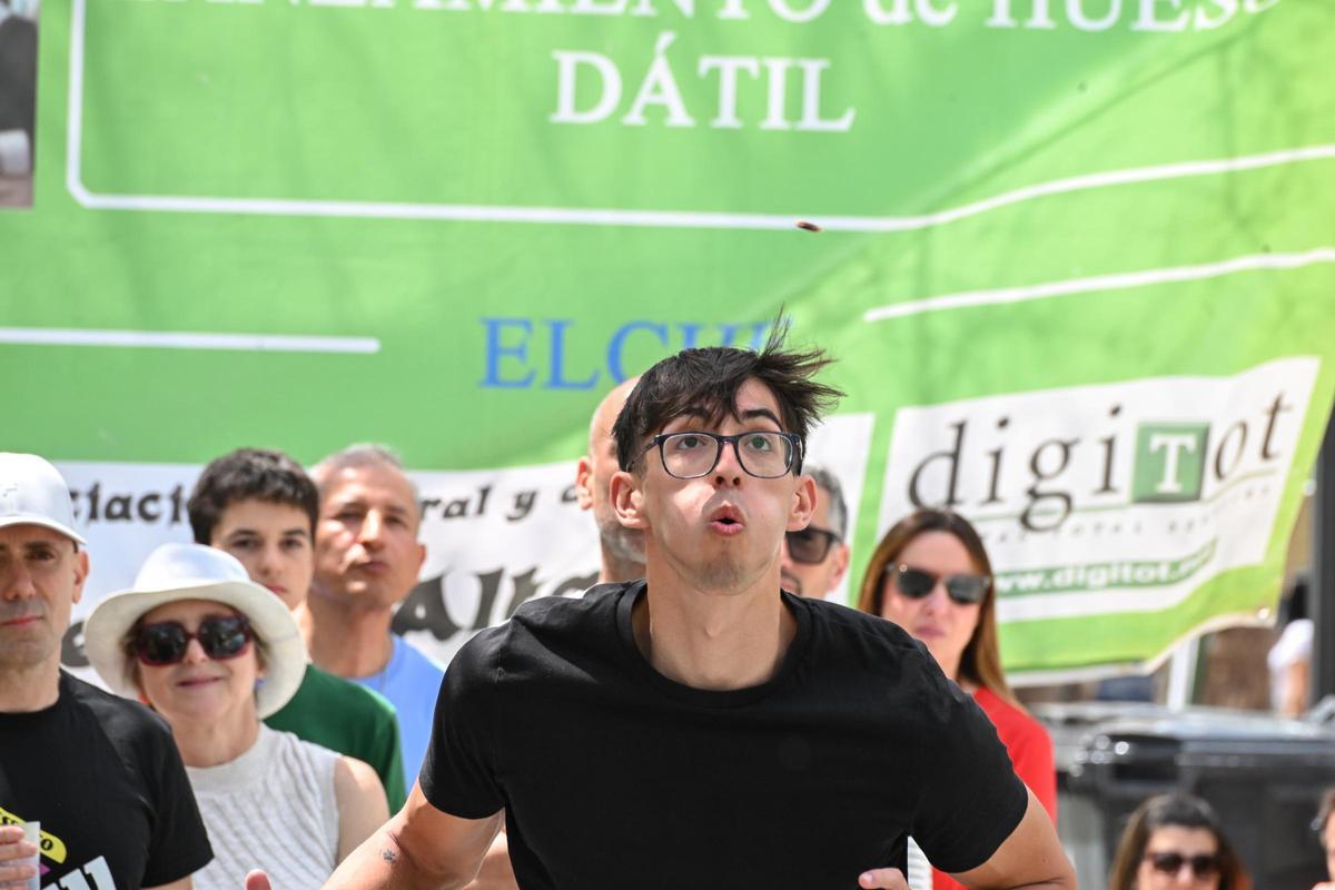 XIV Campeonato de lanzamiento de hueso de dátil de Elche, en imágenes
