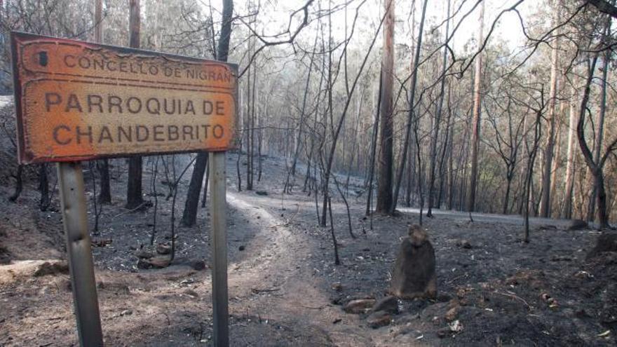 Incendios en Galicia | Historias de supervivencia en Nigrán