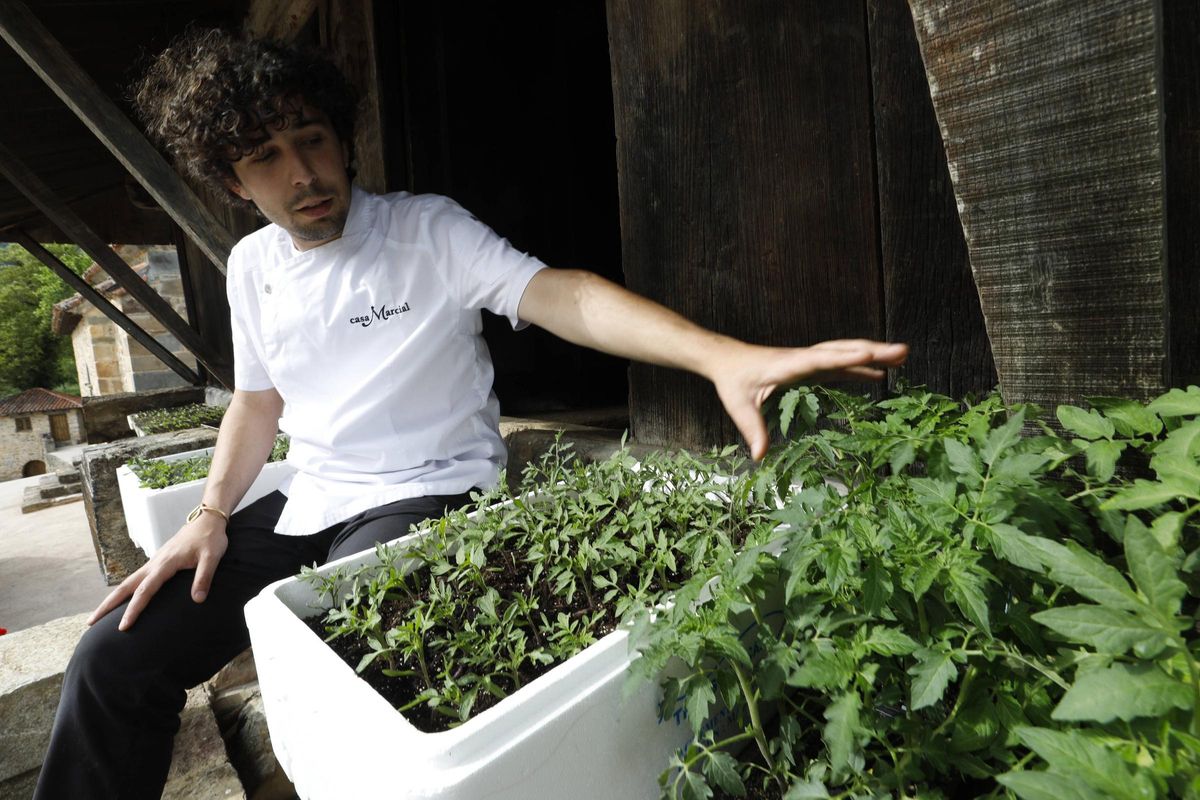 Chus Sánchez Manzano, en el hórreo, con plantones de tomate para el huerto.