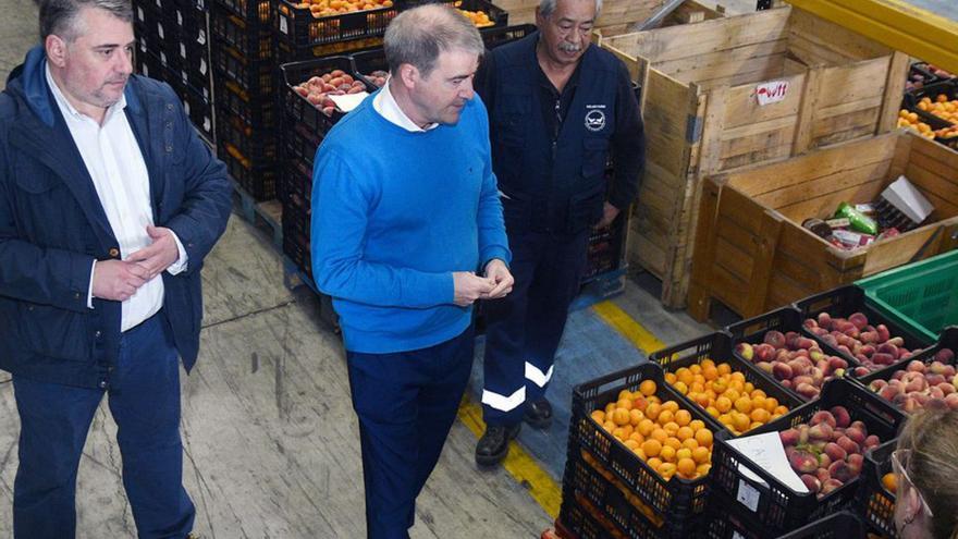 El Banco de Alimentos reparte 20.000 kilos de frutas del Fondo Galego de Garantía Agraria