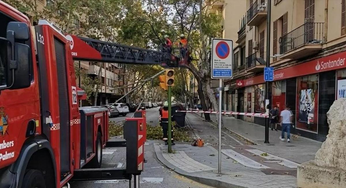 Feuerwehreinsatz wegen des Sturmtiefs "Nils" am Donnerstag (12.2.) in Palmas Carrer Torcuato Luca de Tena