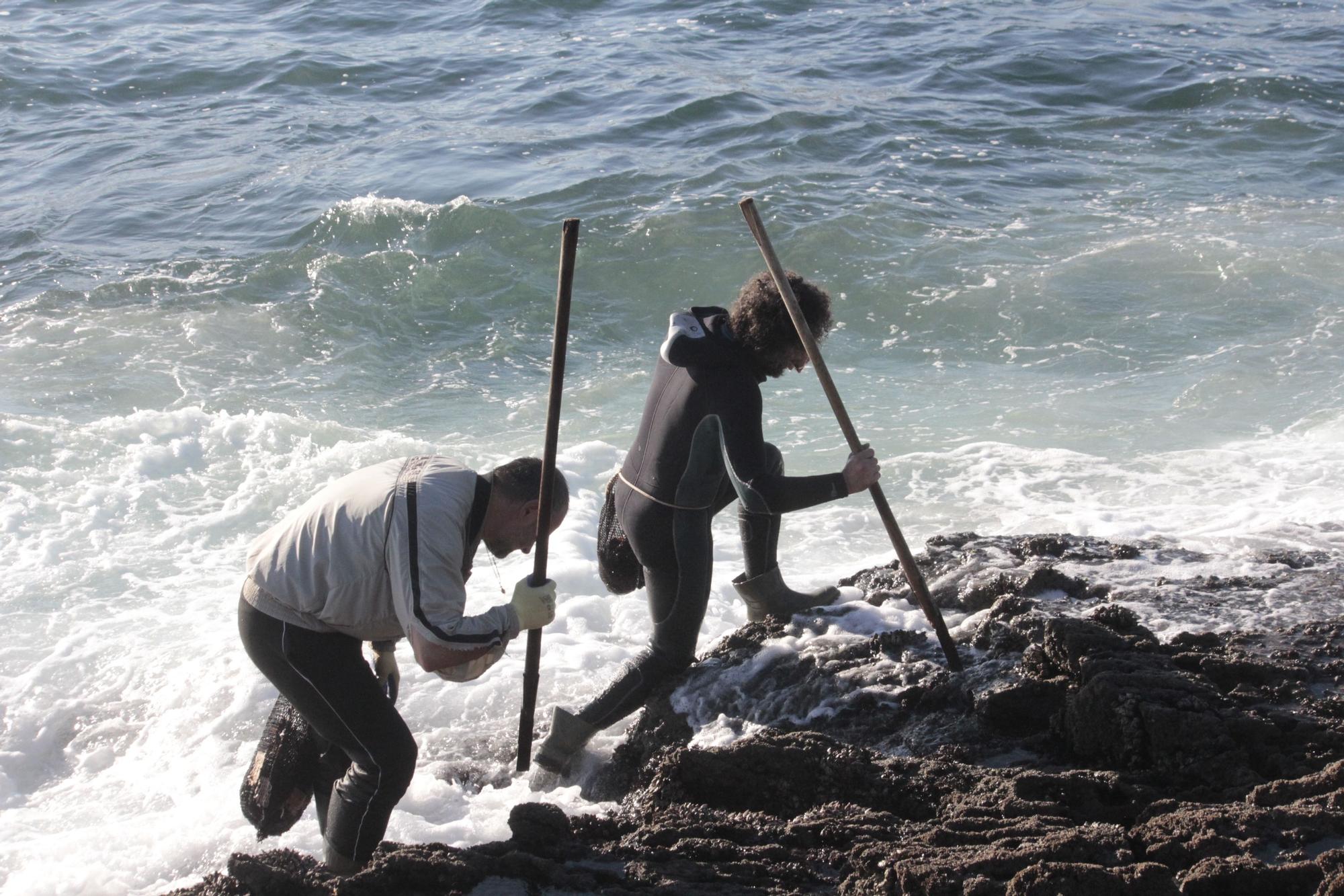 Percebeiros de Cangas vuelven al "manicomio" de la Costa da Vela