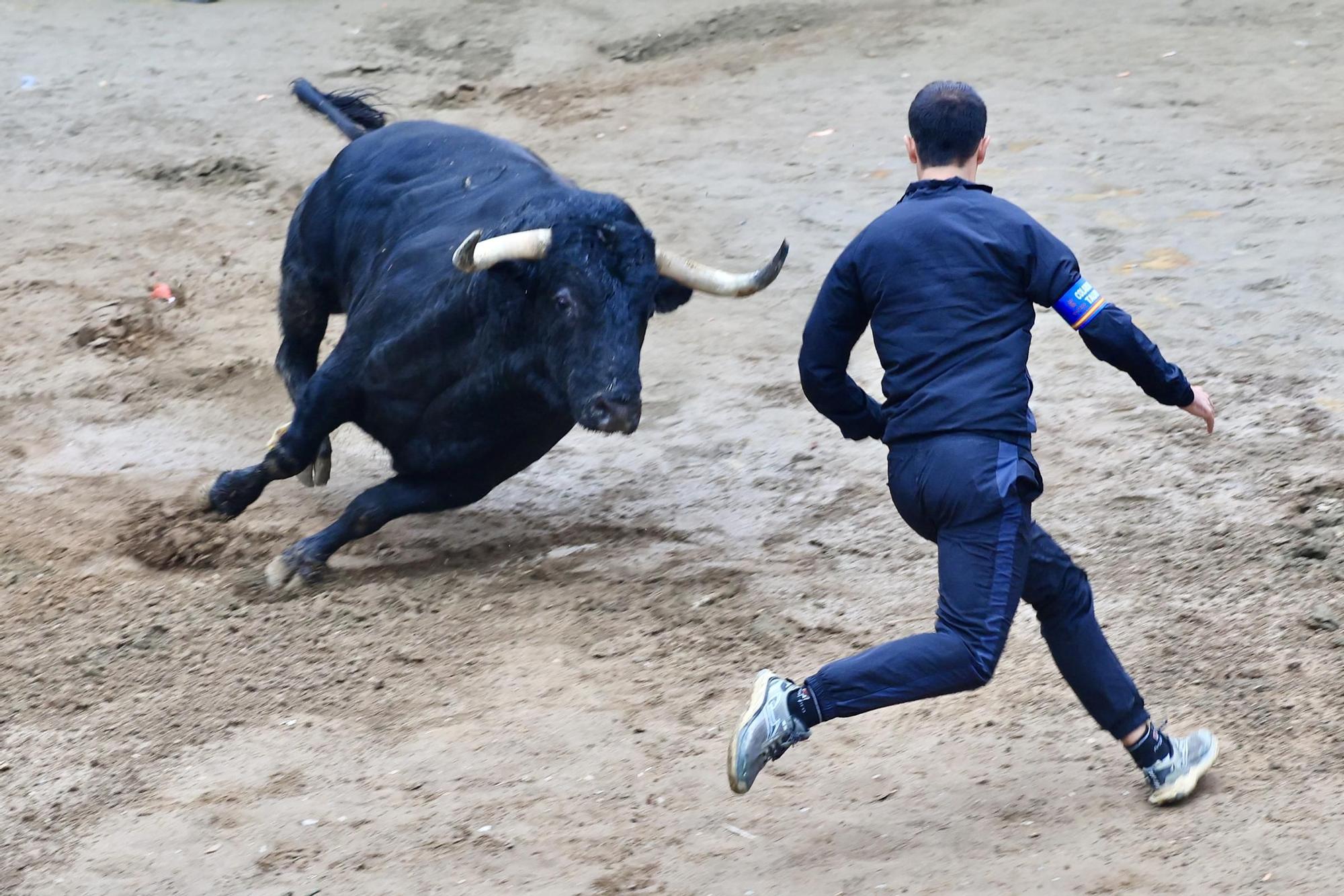 Galería de fotos de la penúltima tarde de toros de las fiestas del Roser en Almassora