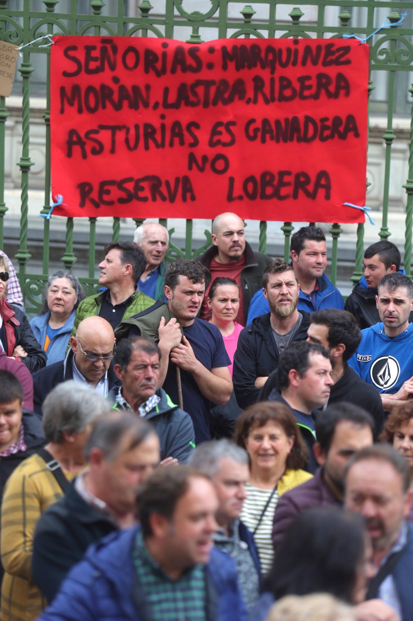 En imágenes: Así fue la manifestación del campo asturiano en Oviedo