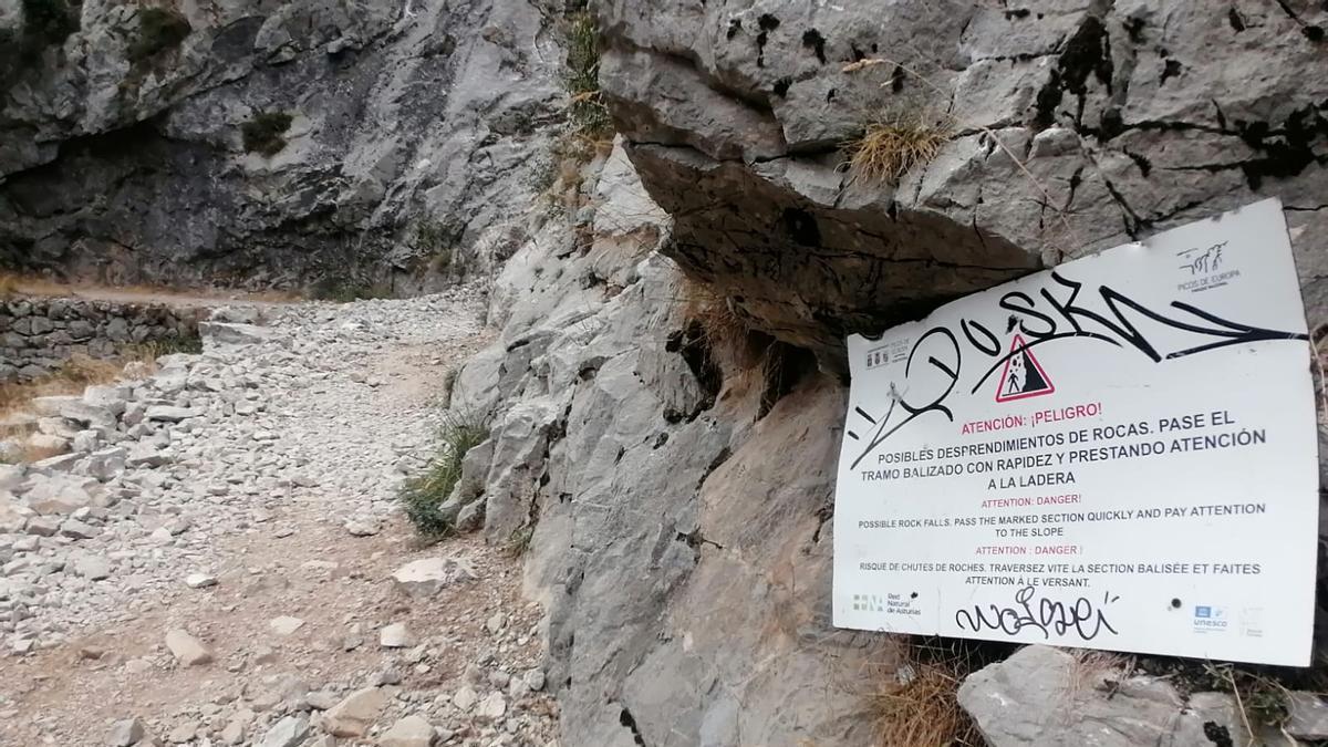 «Cerrarla es un error, hay que invertir en seguridad y concienciar sobre el uso de casco», dicen expertos