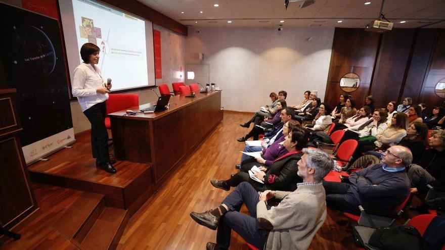 La investigadora del IPLA Ana Belén Flórez, ayer, durante su ponencia en la Cámara de Comercio.