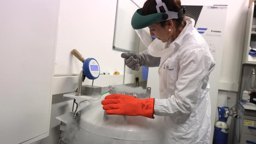 Aragón mejorará la fertilidad de niñas con cáncer guardando su tejido ovárico