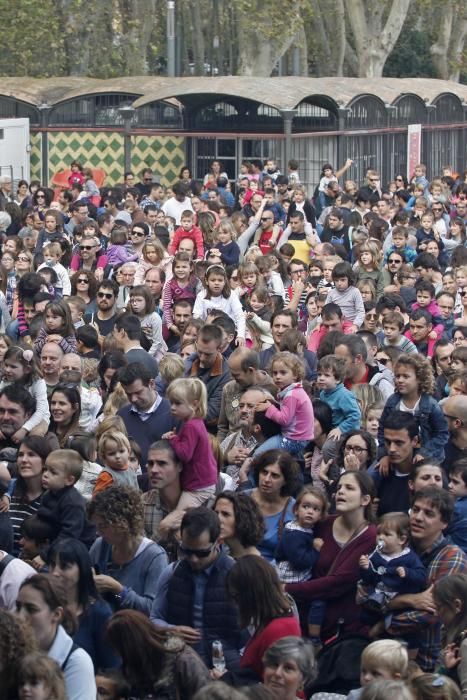 Damaris Gelabert omple la Copa de públic famliar