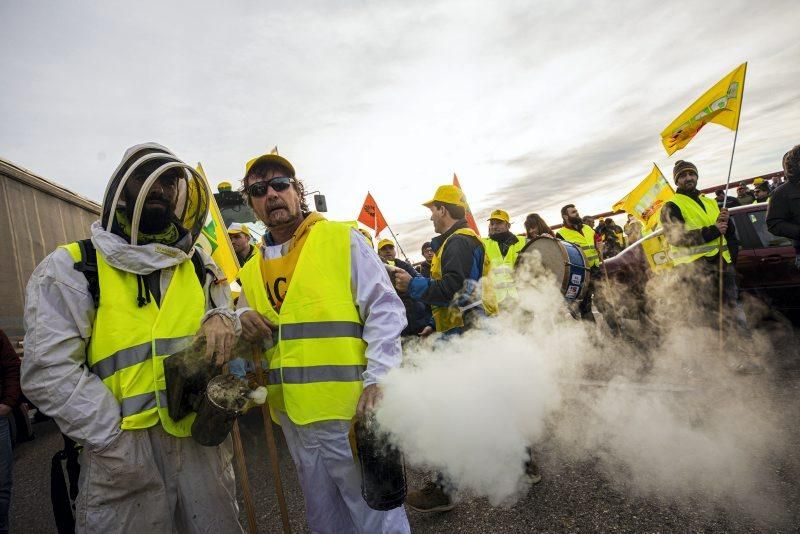 Manifestación de agricultores en Zaragoza