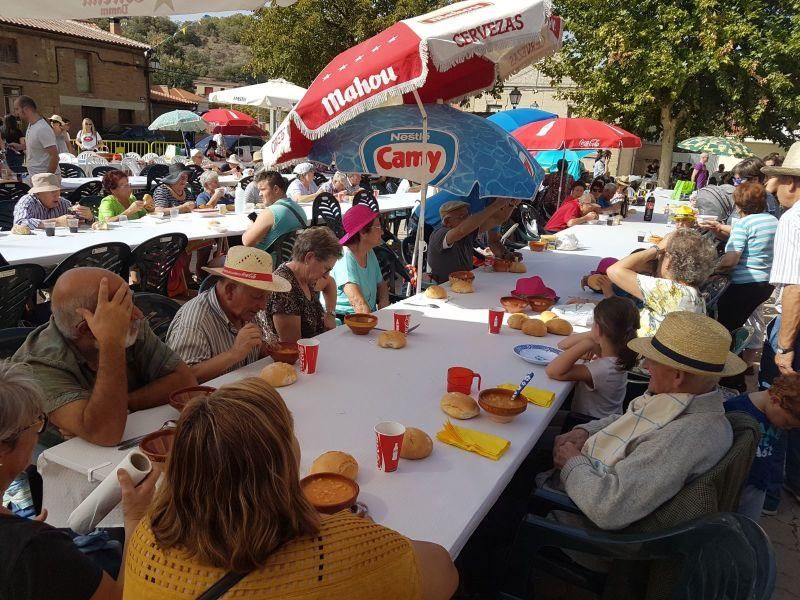 Fiesta de la Vendimia en Venialbo