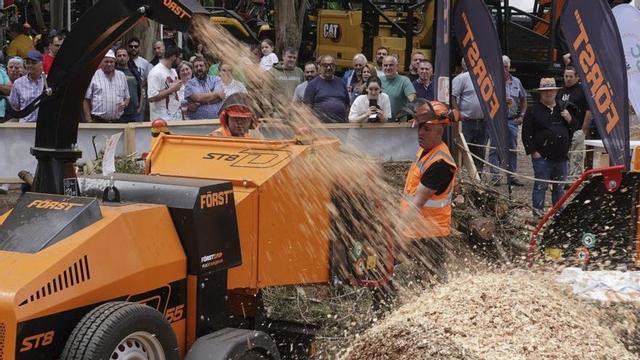 Una demostración en la última edición del monográfico forestal.  |