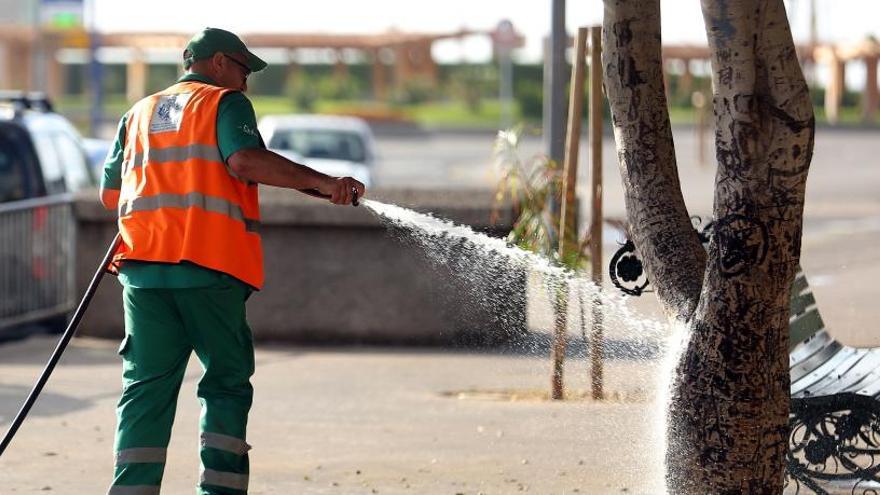 Un operario de los servicios de limpieza de Tenerife.