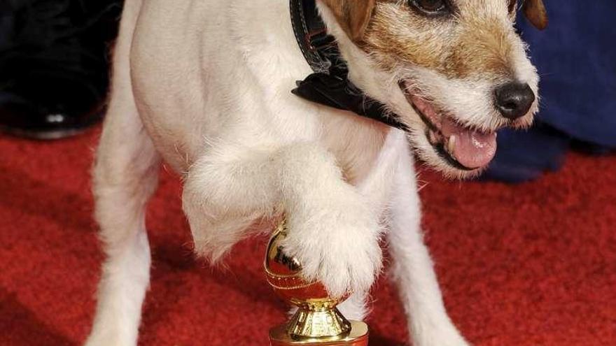 &#039;Uggie&#039;, el perro de la película &#039;The Artist&#039;.