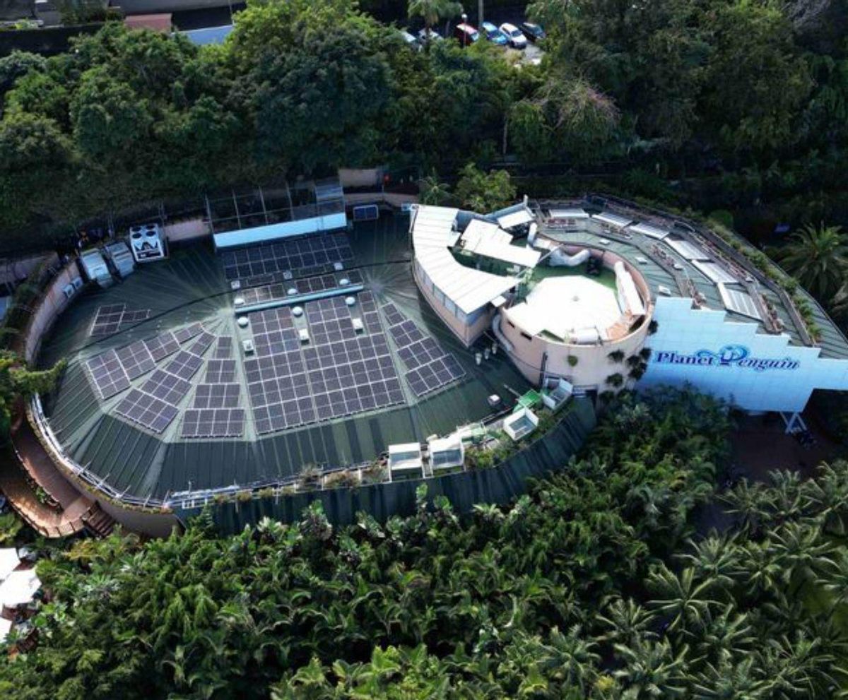 Loro Parque: Compromiso Real con el planeta