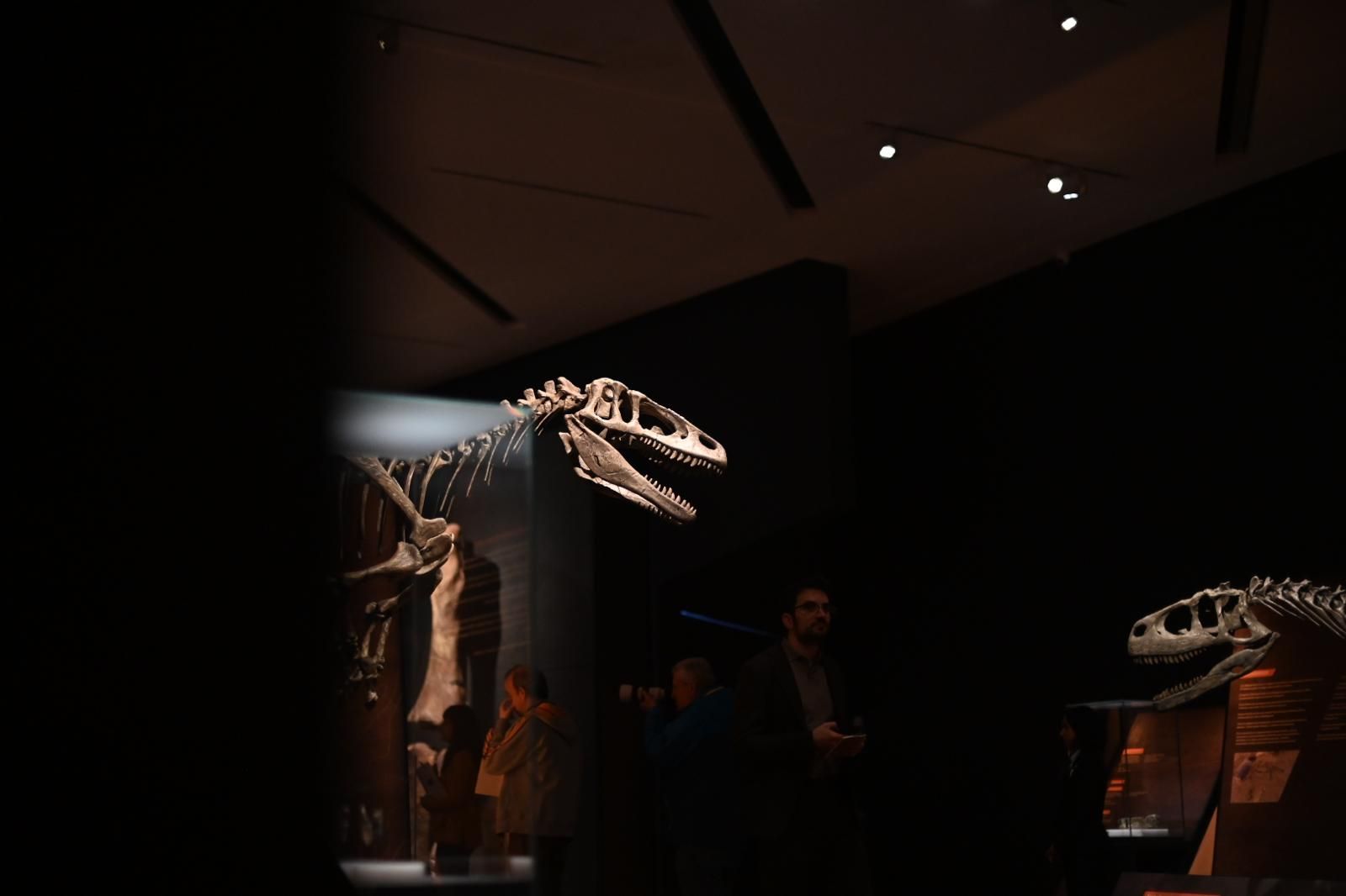 En imágenes | El dinosaurio más grande conocido conquista el Caixaforum de Zaragoza