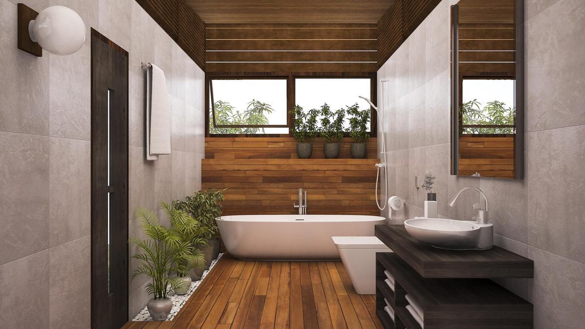 Las plantas que eliminarán el moho y la humedad de tu casa
