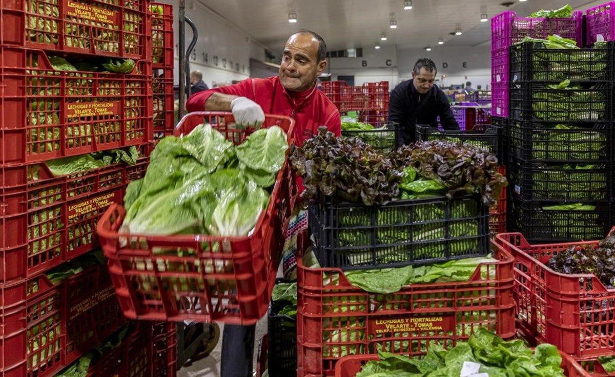 El agricultor Pepe Velarte moviendo sus lechugas en la ’Tira de Comptar’ en València 