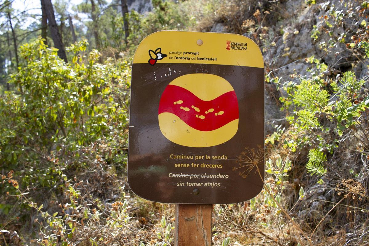 Señal ubicada en el paraje natural de la Ombria del Benicadell.
