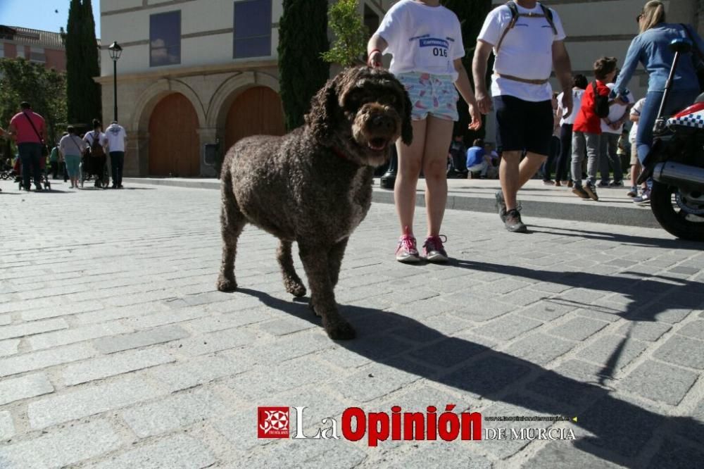 I Paseo Regional de Mascotas en Familia en Lorca