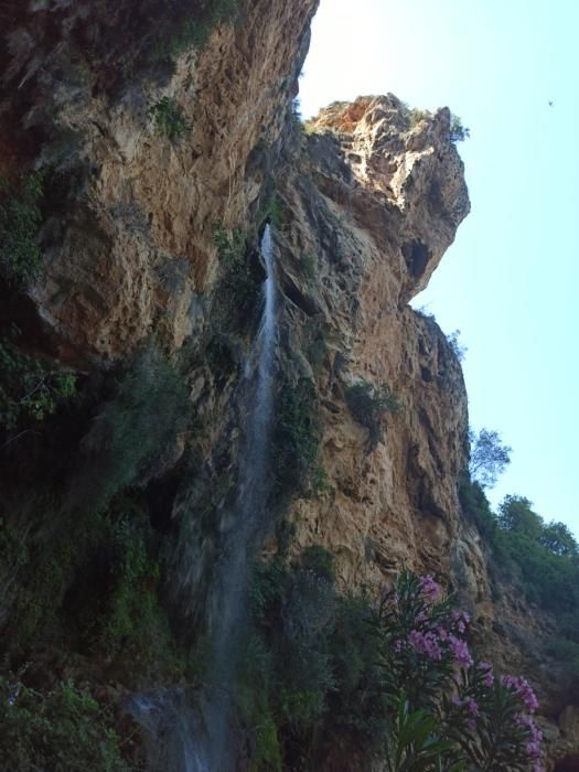 Cueva de Las Palomas (Buñol).