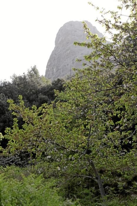 Einer der schönsten Winkel der Insel - das Tal und der Garten von Ariant - kann wieder bei geführten Rundgängen erkundet werden.