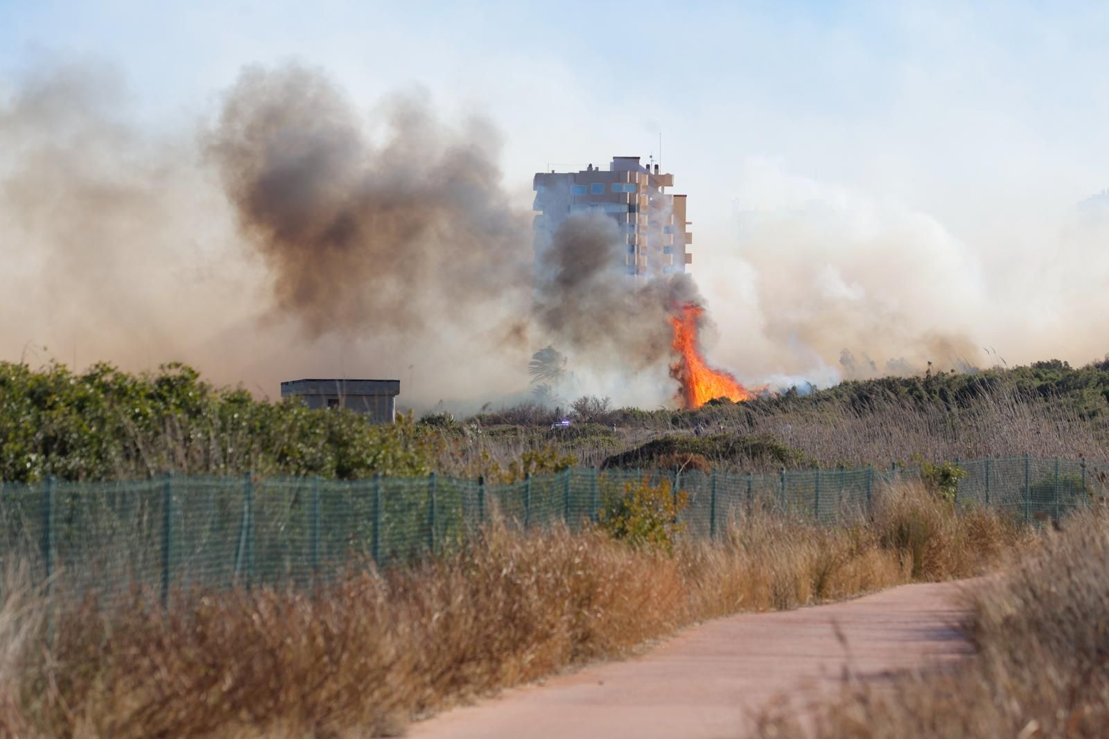 Declarado un incendio en el Saler