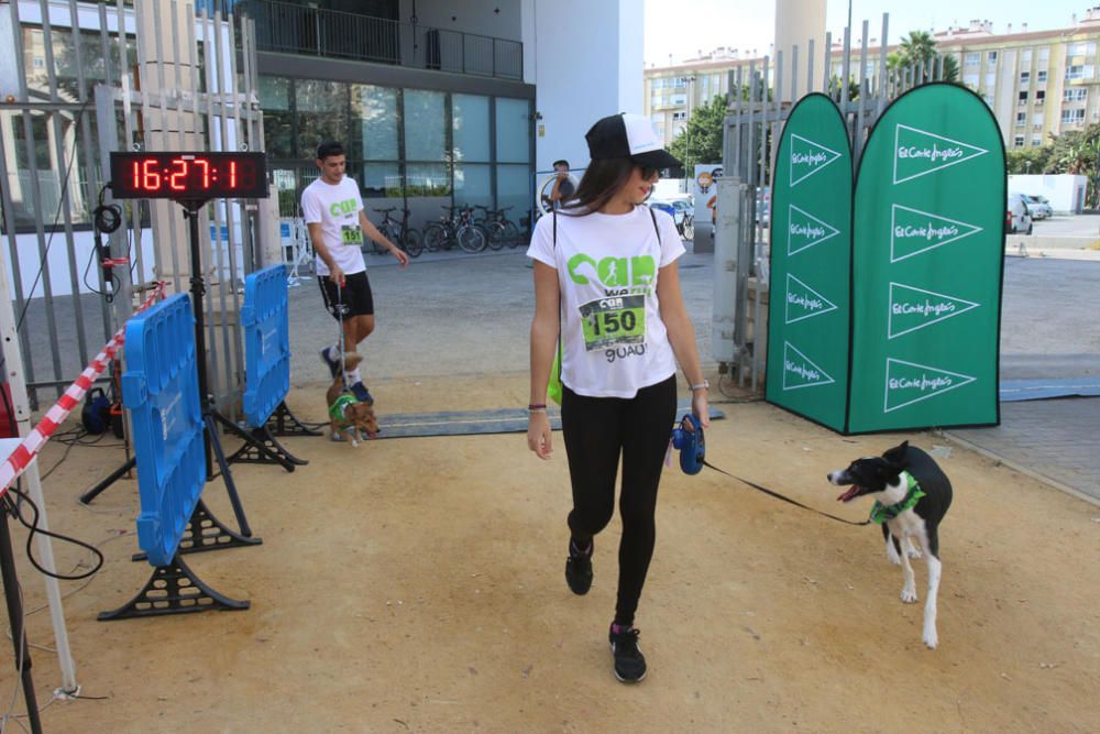 El Parque Huelin ha acogido la primera edición de un evento destinado a las mascotas y a sus dueños, con carreras en diversas categorías, actividades gratuitas y numerosos stands