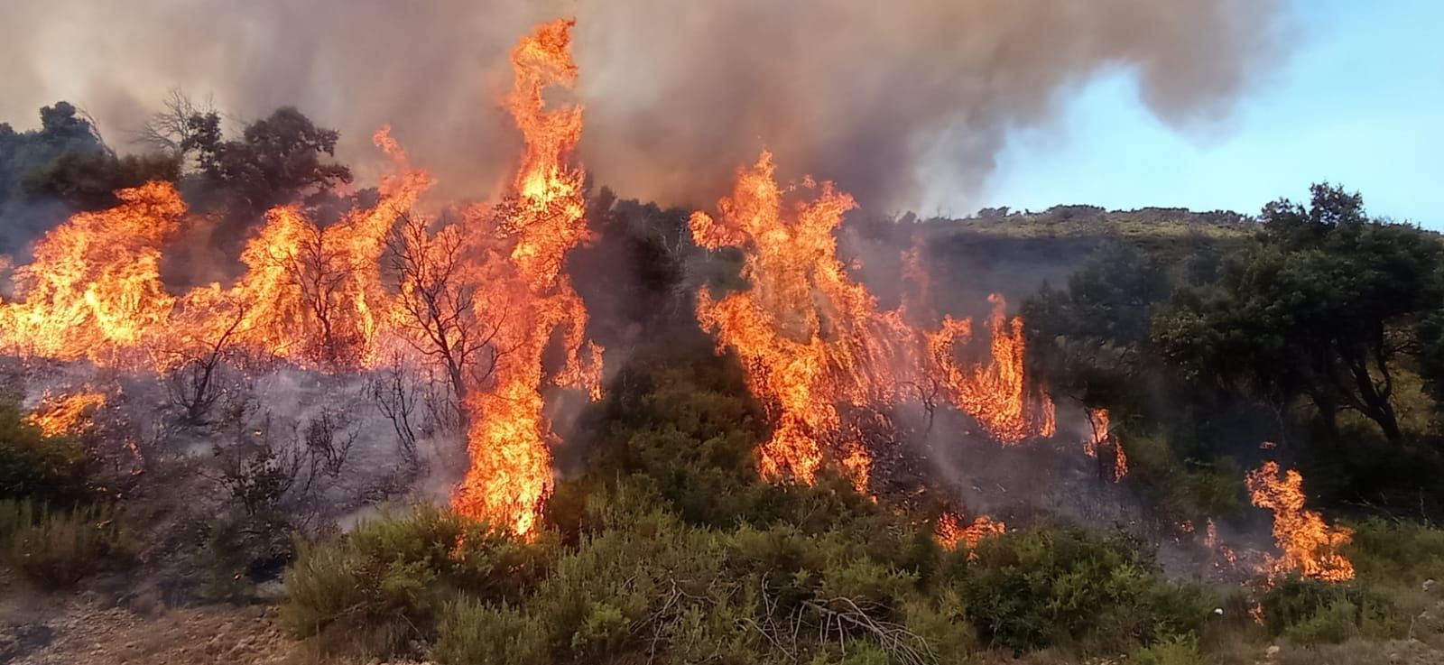 El incendio de Bejís, en imágenes