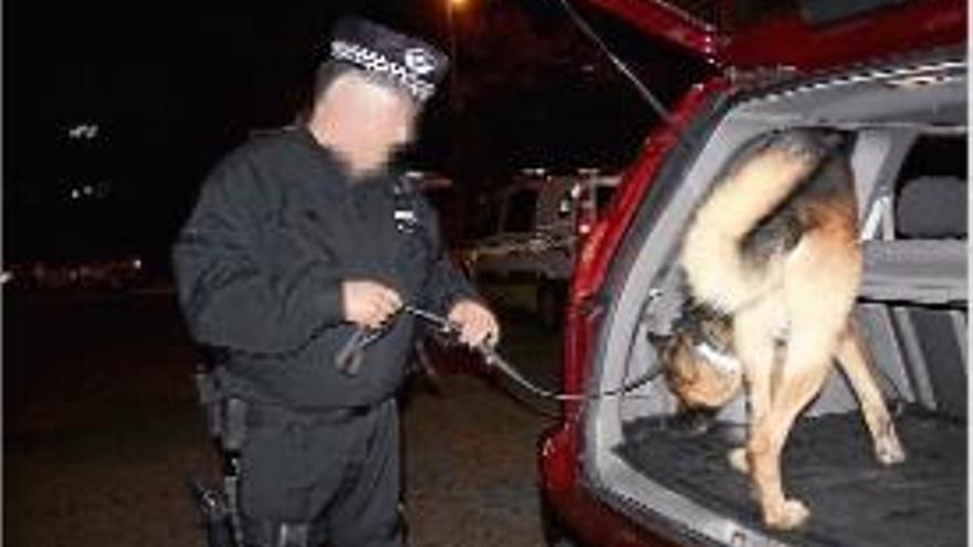 Un gos inspecciona un cotxe per si hi ha droga amagada.