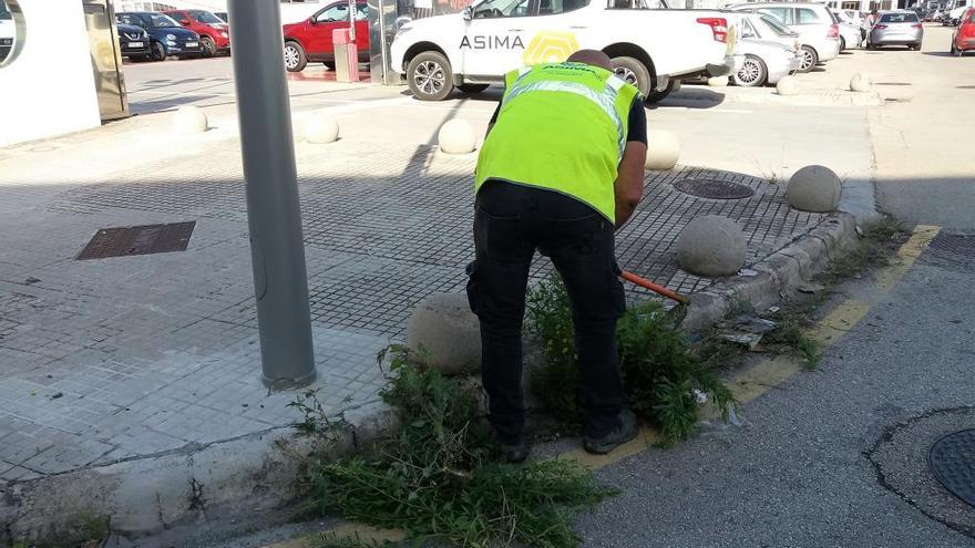 Un operario de Asima limpia de malas hierbas una acera.