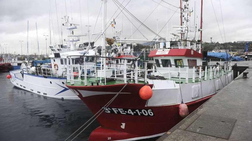 Flota gallega amarrada en el puerto de Oza.