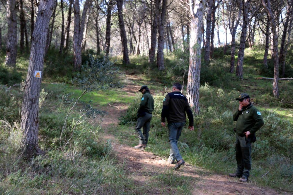 Avisen que es podria malmetre la zona de la duna continental al parc del Montgrí