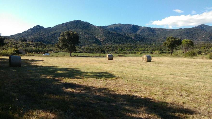 Prats de dall de l&#039;Albera