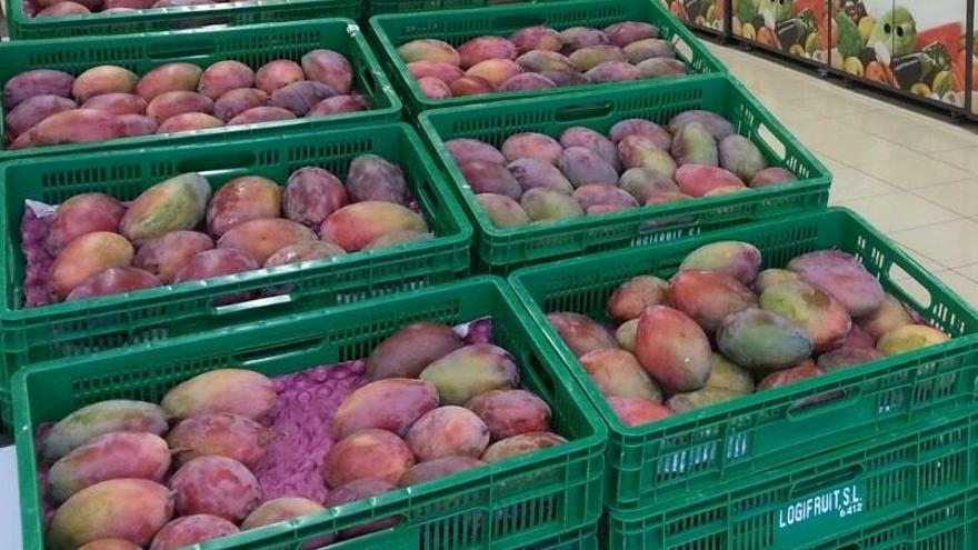 Mercadona compra 3.200 toneladas de mango de Málaga este año