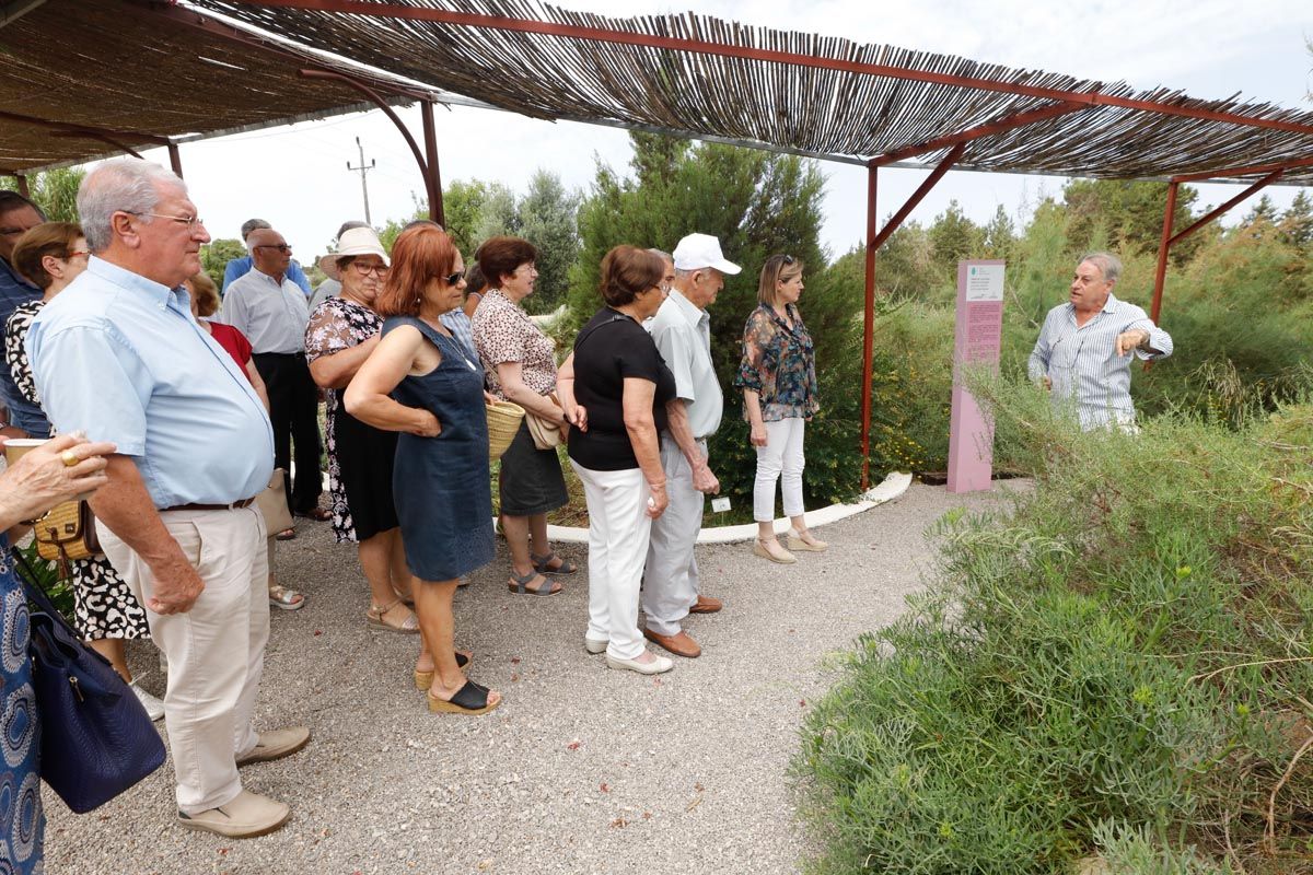 Visita de mayores a Ibiza Botánico Biotecnológico