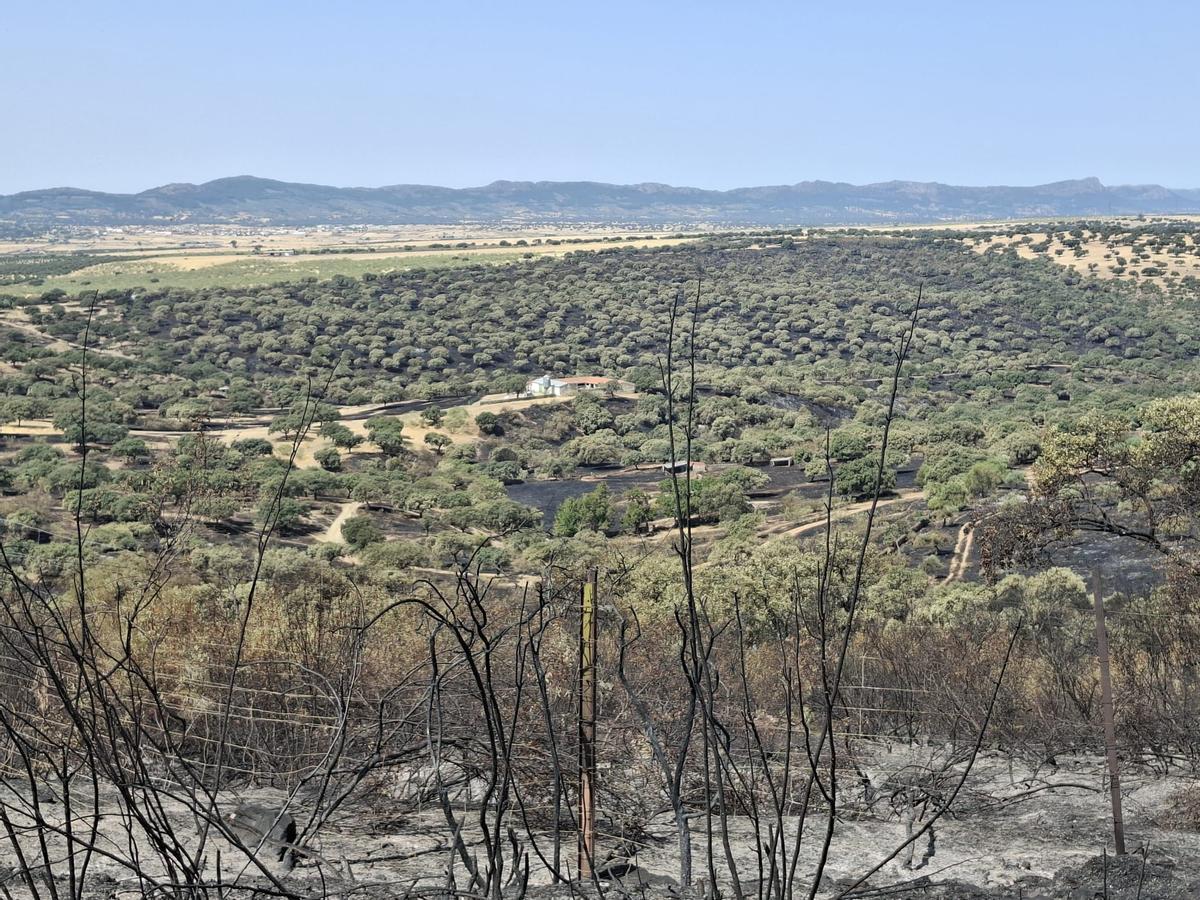 Fotogalería | Las consecuencias del incendio de Herrera del Duque, en imágenes Fotogalería | Las consecuencias del incendio de Herrera del Duque, en imágenes