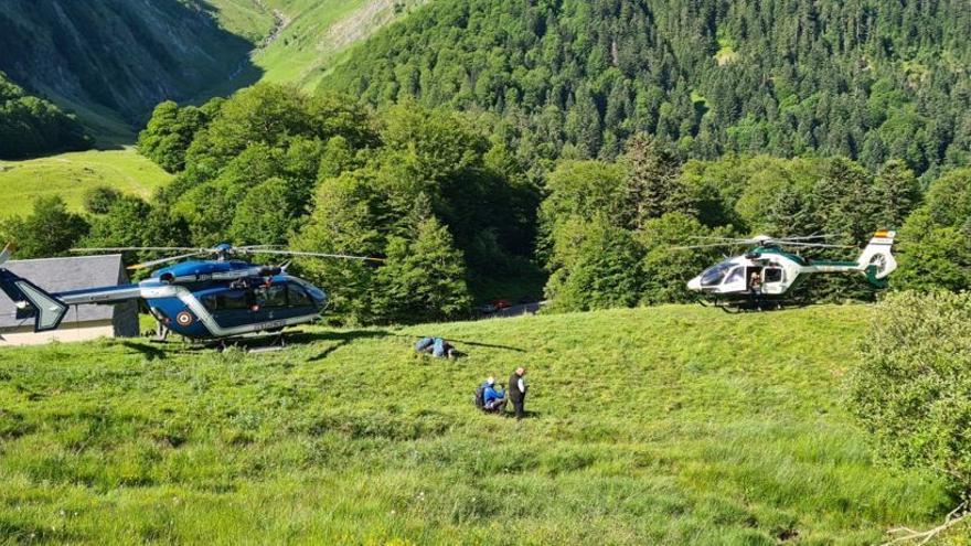 Helicópteros con los que se ha llevado a cabo la búsqueda