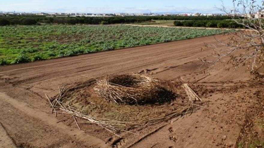 Exposición Bio-lecturas. Reflexiones del entorno natural y rural contemporáneo