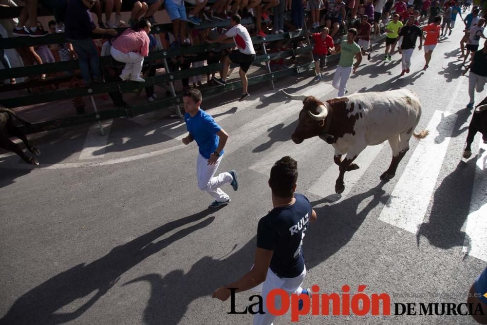 Segundo encierro de Calasparra