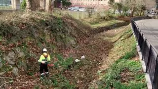 La Confederación Hidrográfica acomete la limpieza del río Duró, en Mieres