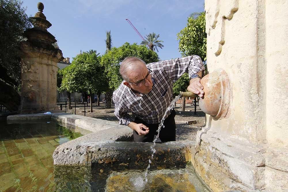 Desescalada en Córdoba: la Mezquita-Catedral reabre a las visitas