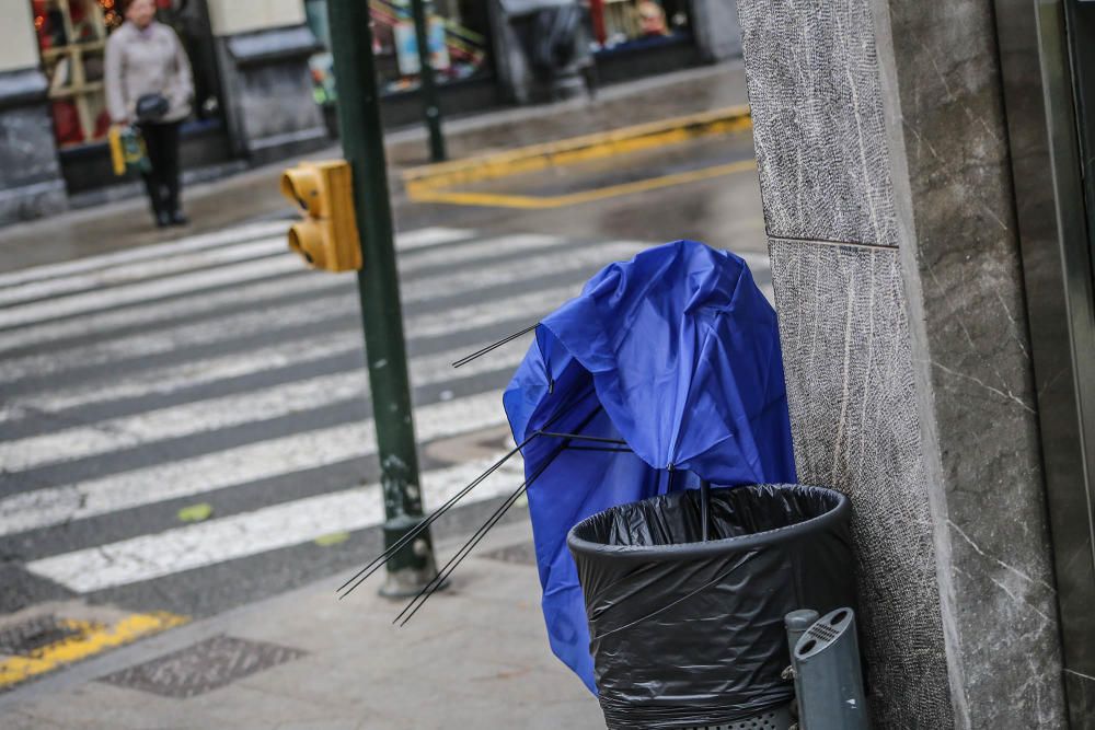 Las fuertes rachas de viento han provocado la caída de cascotes, árboles y toldos en la Vega Baja y la intervención de la Policía Local y Bomberos en Torrevieja y Orihuela