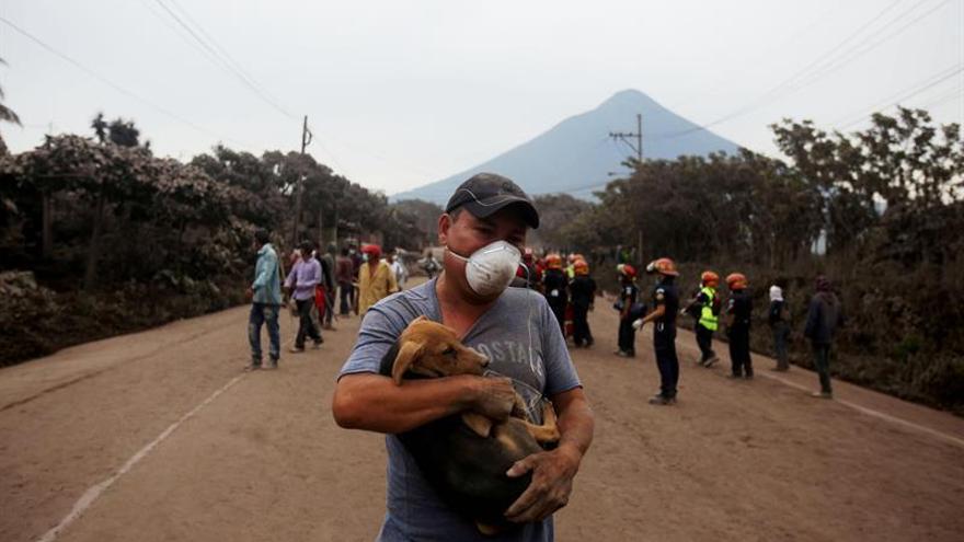 Guatemala aumenta a 31 los muertos por erupción del volcán de Fuego