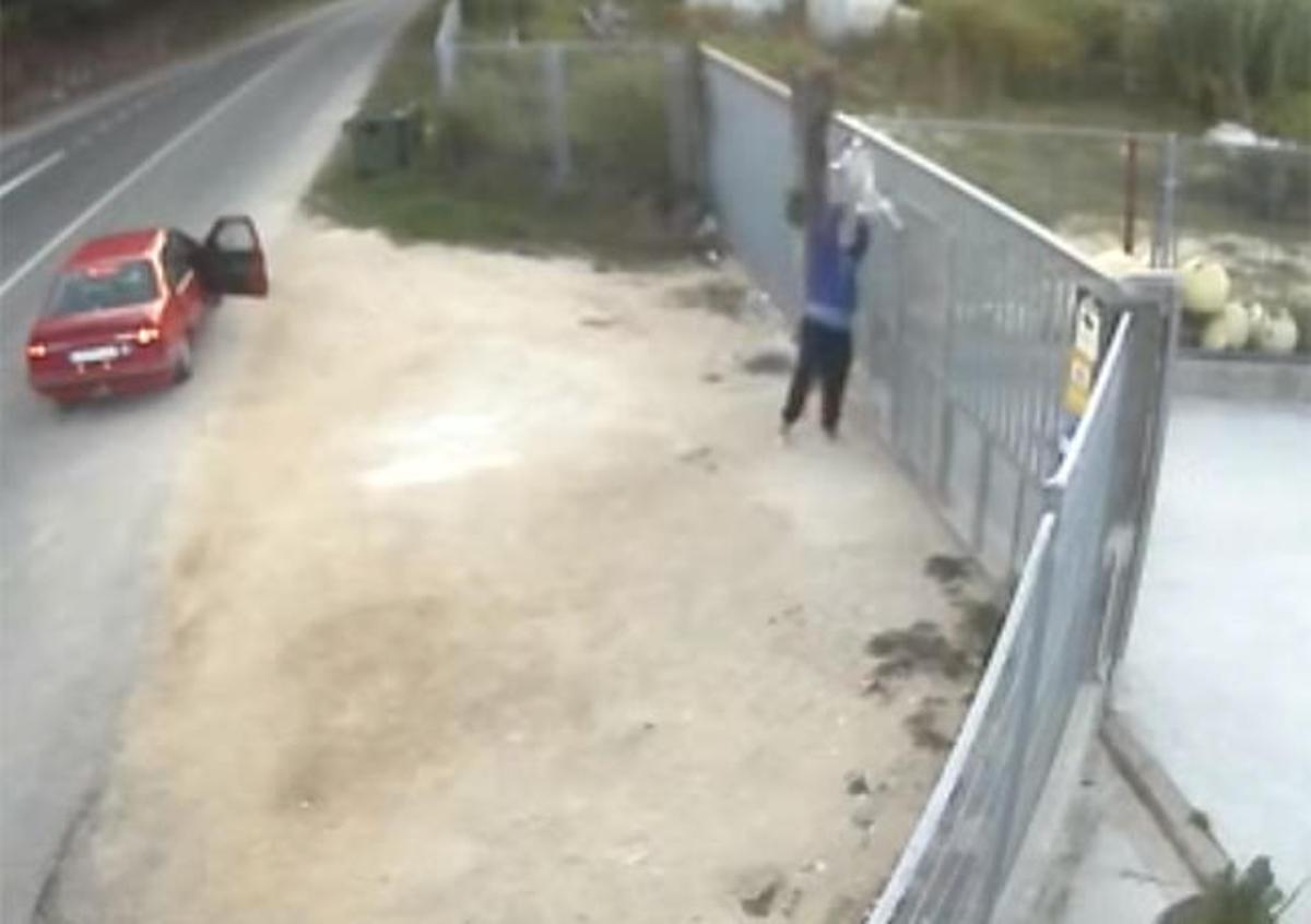 Uno de los desconocidos lanza al perro hacia la protectora.